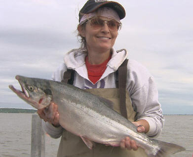 Sarah Palin Going After Bigger Fish?  Photo: Mypetjawa.com