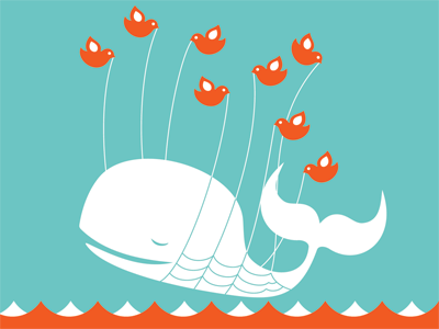 Twitter Whale Courtesy of Twitter.com
